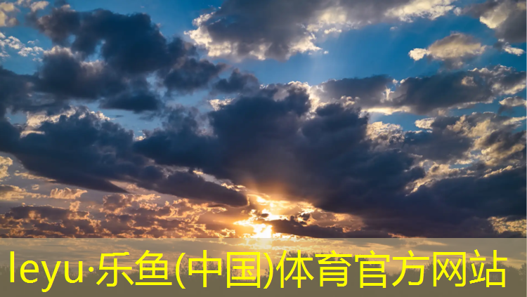 乐鱼体育,双杠臂屈伸动作要领归纳总结图